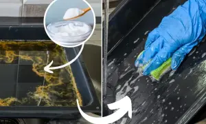 Jak wyczyścić blachę z piekarnika? Zobacz, jak soda oczyszczona i gąbka radzą sobie z uporczywym brudem.